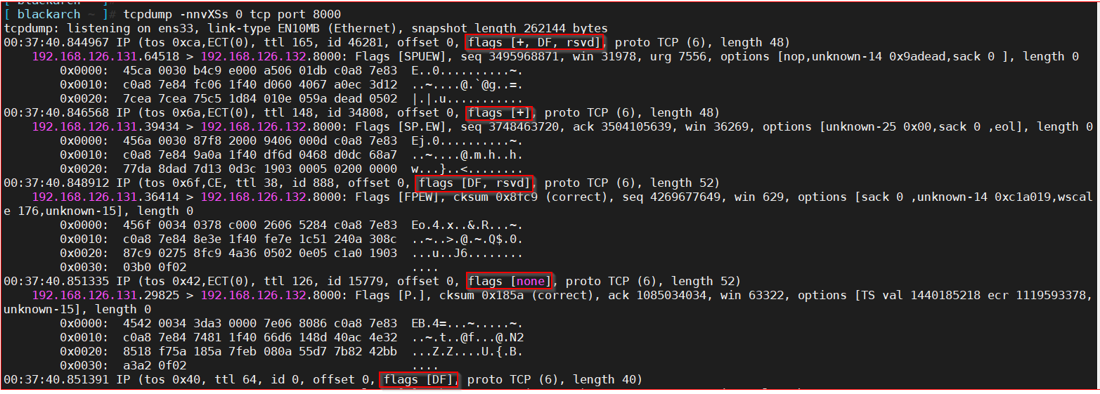 Example of SCAPY Fuzzer network traffic